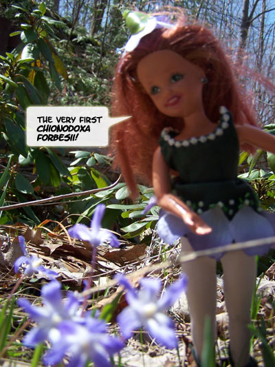 (Her botanist father, Buddy Jim, taught her the Latin names, I bet!)